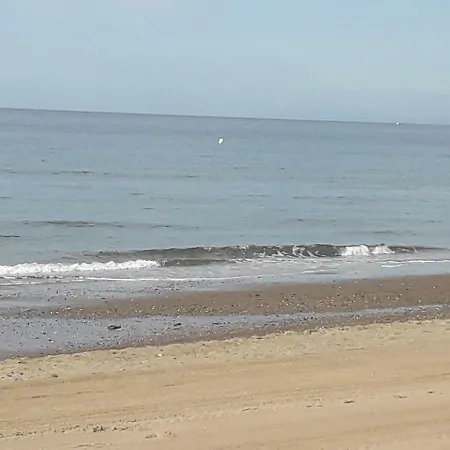 Alicate Playa. * Marbella