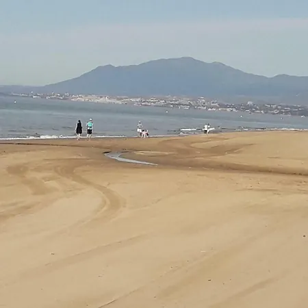 Alicate Playa. *